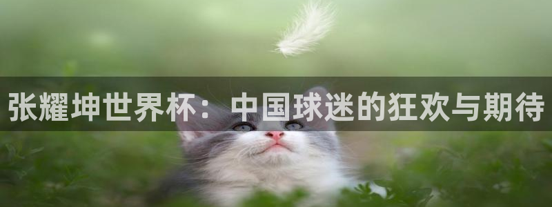 世界杯直播时间:张耀坤世界杯:中国球迷的狂欢与期待