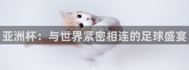 葡萄牙世界杯赛程:亚洲杯:与世界紧密相连的足球盛宴