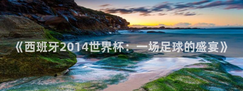 2026世界杯对阵图:《西班牙2014世界杯:一场足球的盛宴》