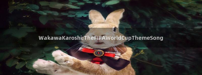 世界杯2026预选赛:WakawaKaroshi:TheFIFAWorldCupThemeSong
