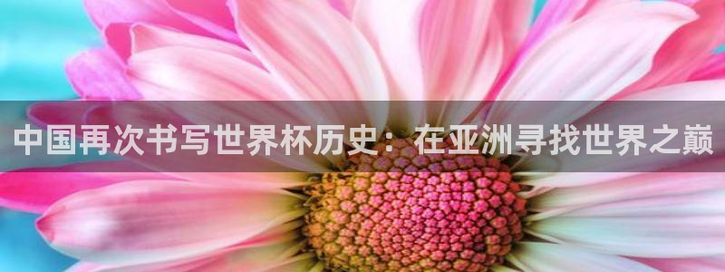 世界杯 直播:中国再次书写世界杯历史:在亚洲寻找世界之巅