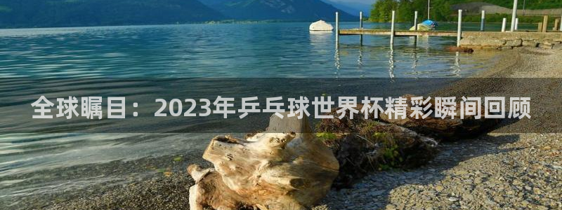 法国杯2026赛程表:全球瞩目:2023年乒乓球世界杯精彩瞬间回顾