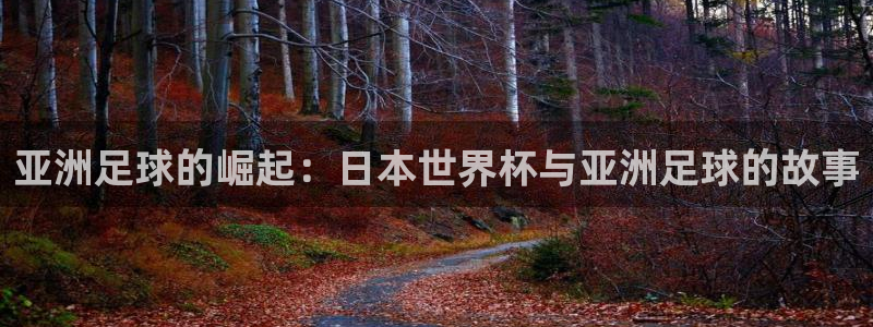 世界杯直播平台:亚洲足球的崛起:日本世界杯与亚洲足球的故事