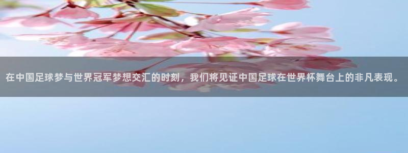 世界杯球队:在中国足球梦与世界冠军梦想交汇的时刻,我们将见证中国足球在世界杯舞台上的非凡表现。